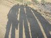 Next picture :: Guess who we are ? ? ? ?