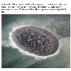 Next picture :: NASA Releases Images of Pakistan â€˜Mud Islandâ€™ Formed By Earthquake
