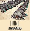 afghan National army