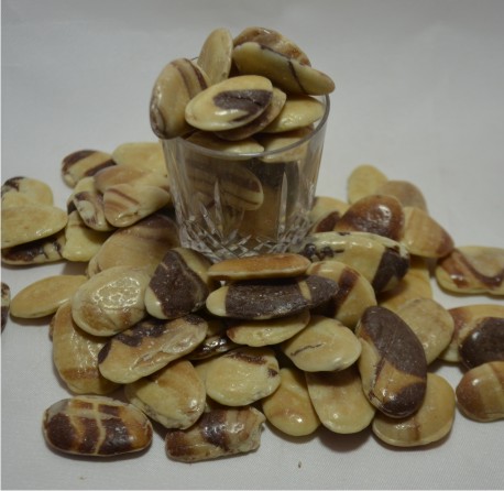 Stone Chocolati Special Yellow Stone Chocolati Special Yellow